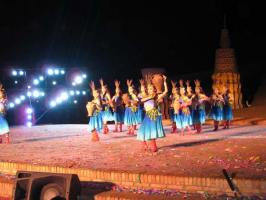 Grape Festival Dancing Show